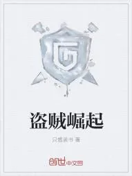 《盗贼崛起》小说封面