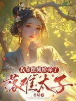 《落难太子十五两，躺着板板带回家》小说封面