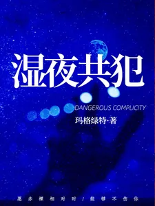 《湿夜共犯》小说封面