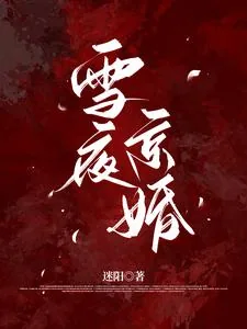 《雪夜京婚》小说封面