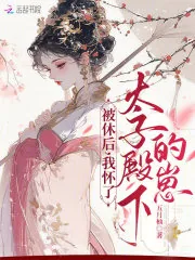 《被休后，我怀了太子殿下的崽》小说封面