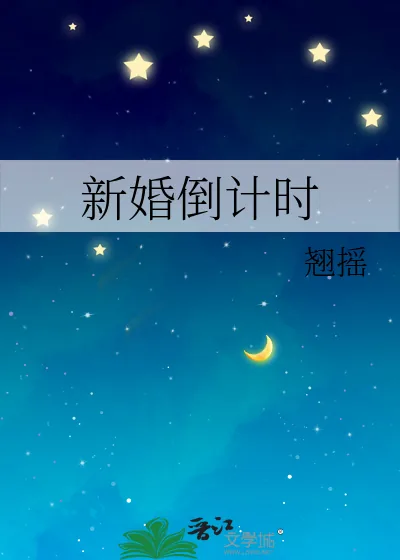 《新婚倒计时》小说封面