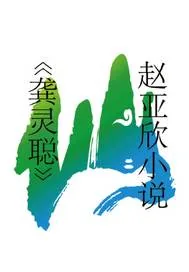 《龚灵聪》小说封面
