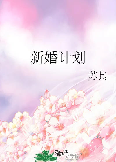《新婚计划》小说封面