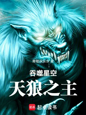 《吞噬星空:天狼之主》小说封面