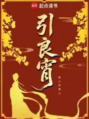 《引良宵》小说封面