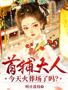 《首辅大人今天火葬场了吗？》小说封面