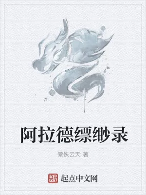 《阿拉德缥缈录》小说封面