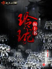 《玲珑阁上书》小说封面