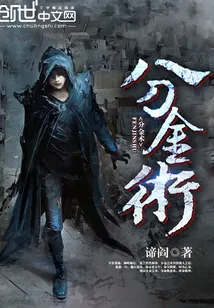 《分金术》小说封面