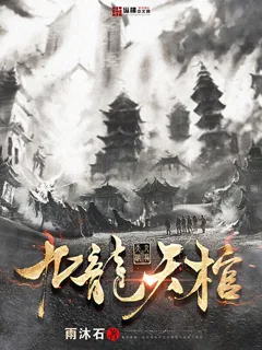 《九龙天棺》小说封面