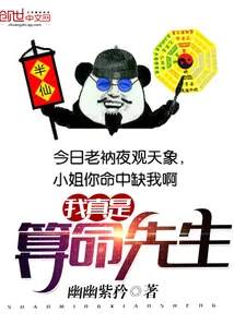 《我真是算命先生》小说封面