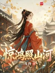 《惊鸿照山河》小说封面