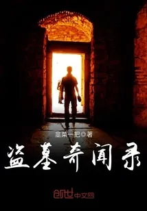 《盗墓奇闻录》小说封面