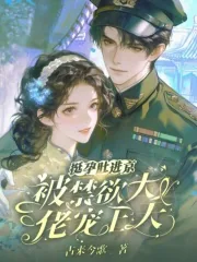 《挺孕肚进京城大院，娇娇被吻到颤》小说封面
