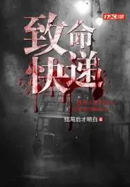 《致命快递》小说封面