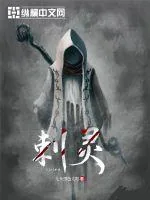 《刺灵》小说封面
