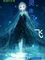 《灵魂飞呀飞》小说封面