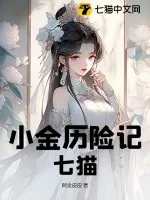 《小金历险记：七猫》小说封面