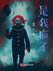 《是我疯了》小说封面