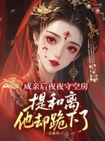 《成亲后夜夜守空房，提和离他却跪下了》小说封面