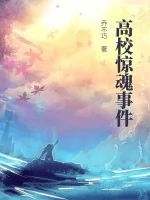 《高校惊魂事件》小说封面