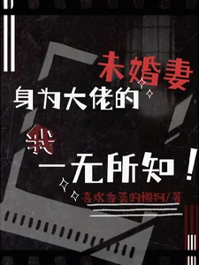 《身为大佬的未婚妻我一无所知》小说封面