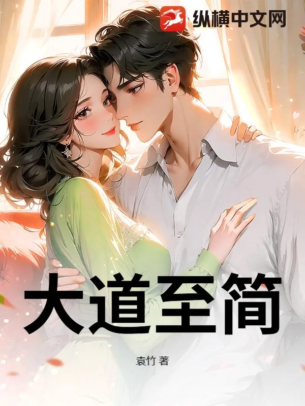 《大道至简》小说封面