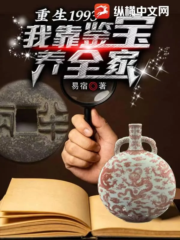 《重生1993：我靠鉴宝养全家》小说封面