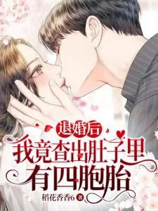 《退婚后，我竟查出肚子里有四胞胎》小说封面