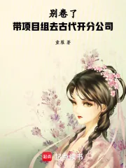 《别卷了！带项目组去古代开分公司》小说封面