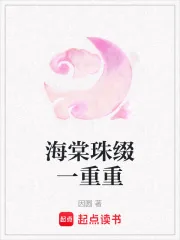 《海棠珠缀一重重》小说封面