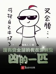 《没有安全屋的我在游戏里凶的一匹》小说封面