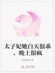 《太子妃她白天很乖，晚上很疯》小说封面