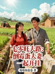 《七零旺夫路:倒霉蛋夫妻一起开挂》小说封面