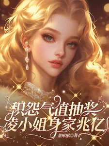 《积怨气值抽奖,凌小姐身家兆亿!》小说封面