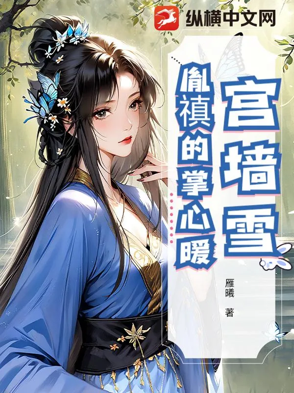 《宫墙雪：胤禛的掌心暖》小说封面