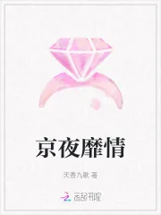 《京夜靡情》小说封面