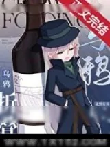 《(名柯同人)乌鸦折叠》小说封面