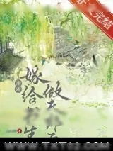《退婚嫁给书生做夫郎后》小说封面