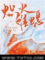 《炽火难熄》小说封面