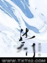 《过天门》小说封面