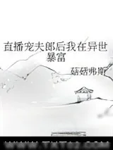 《直播宠夫郎后我在异世暴富》小说封面