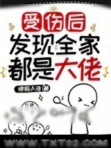 《受伤后发现全家都是大佬》小说封面