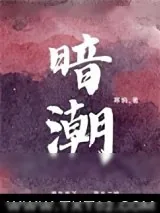《暗潮》小说封面