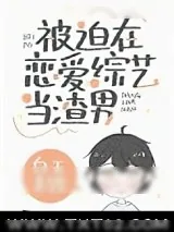 《被迫在恋爱综艺当渣男》小说封面