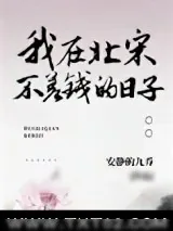 《我在北宋不差钱的日子》小说封面
