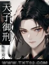 《天子御刑》小说封面