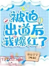 《被迫出道后我爆红了》小说封面