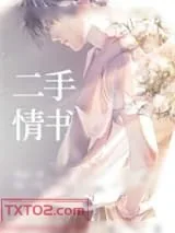《二手情书》小说封面